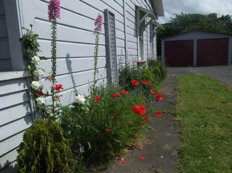 Riverlea Cottage - Cosy, Comfy, Quiet, Central Taumarunui Exterior foto